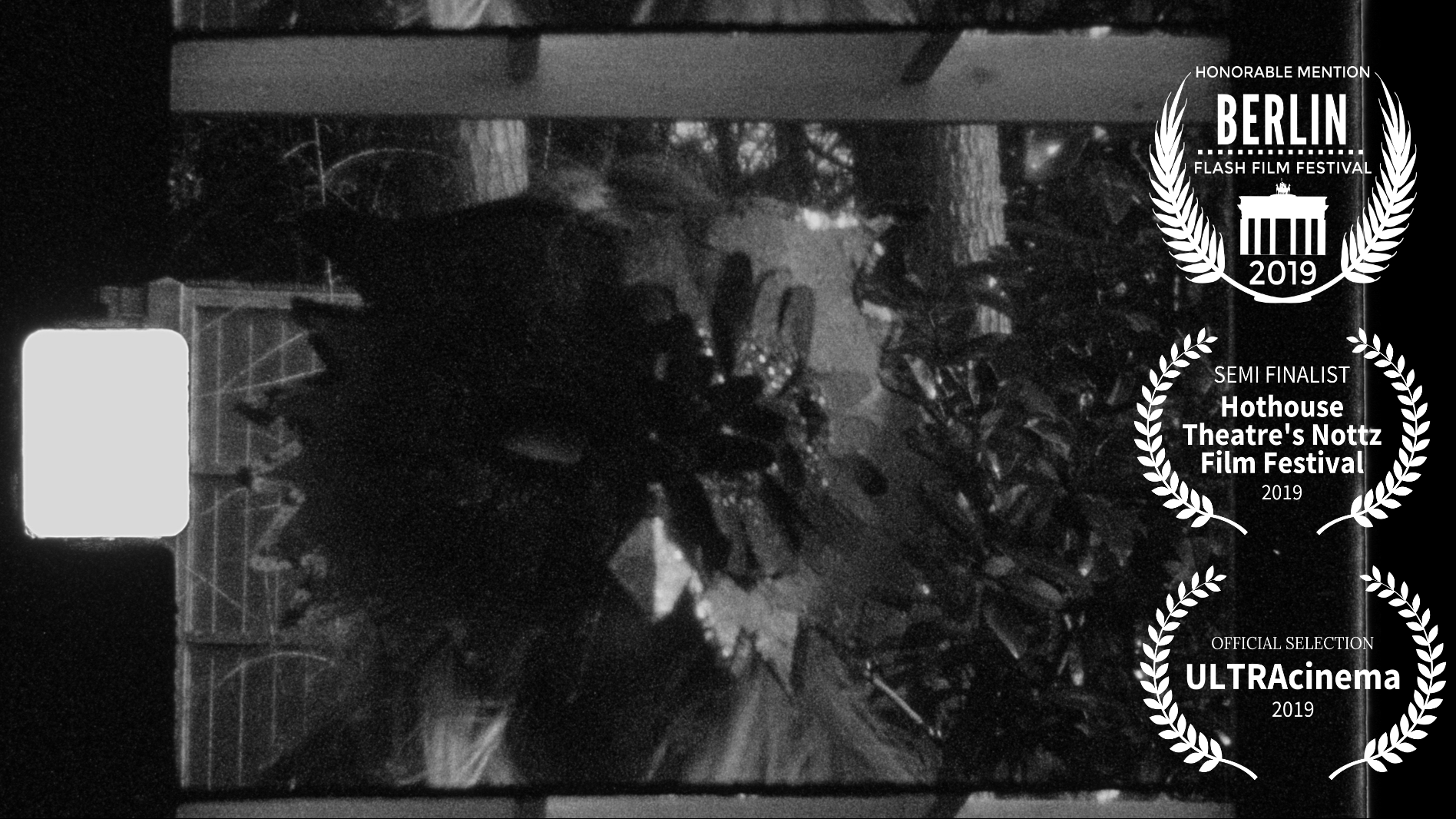 Blackbird